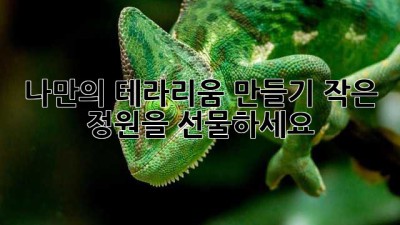 나만의 테라리움 만들기: 작은 정원을 선물하세요